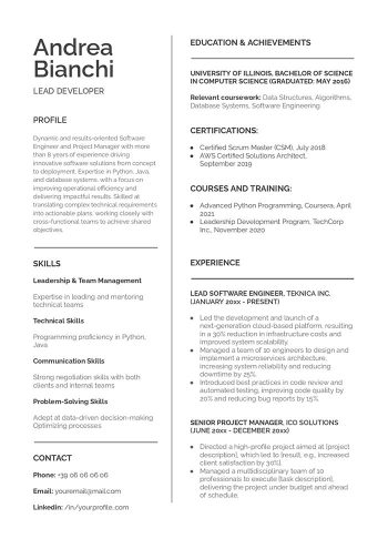 cv google docs inglese template