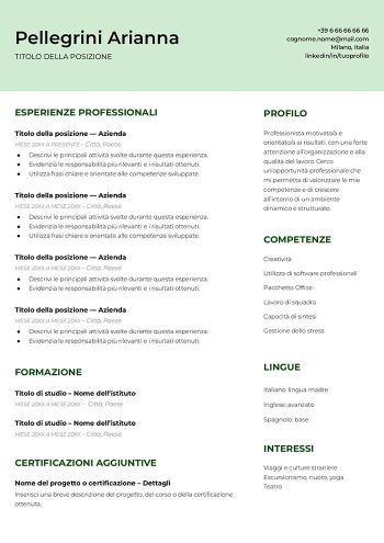 cv google docs senza foto template
