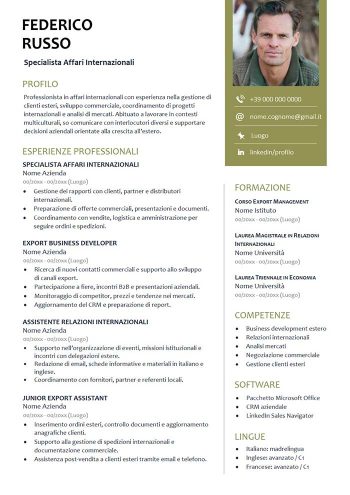 curriculum vitae internazionali word