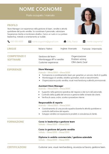 fac simile curriculum vitae elegante