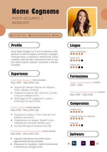 modello di curriculum vitae infografico