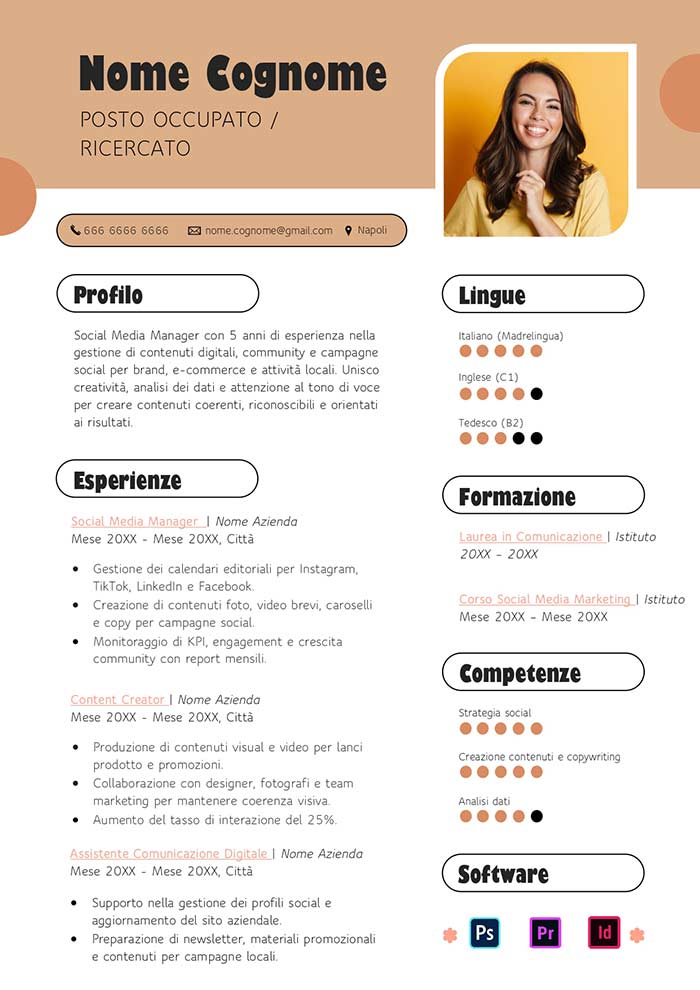 modello di curriculum vitae infografico