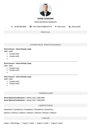 modello curriculum vitae vuoto